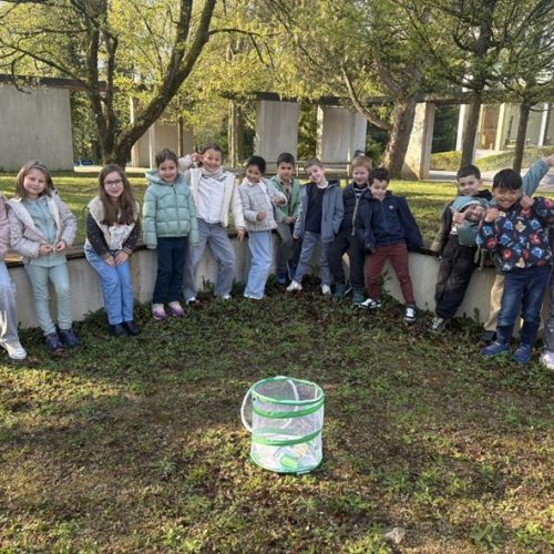 Das Thema Schmetterling