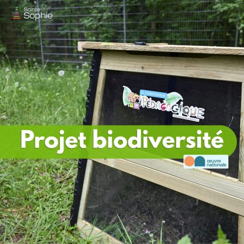 🌍 Nos élèves se mobilisent pour la planète !